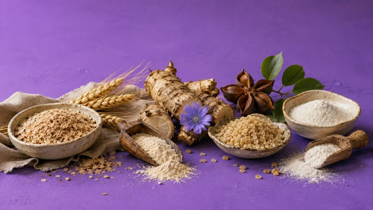 Five fibre supplement types compared — psyllium husk, wheat dextrin, inulin, sterculia and methylcellulose